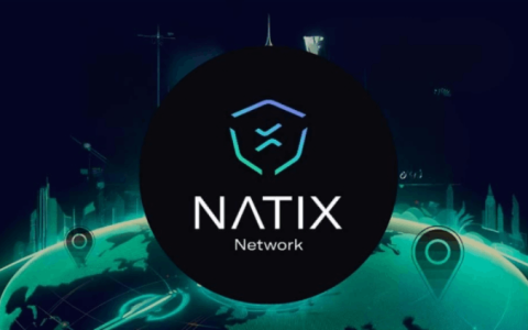 NATIX Network(NATIX)是什么?是一个好投资吗?NATIX代币全面介绍