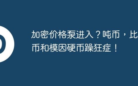 加密价格泵进入？吨币，比特币和模因硬币躁狂症！