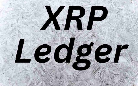 XRP分类帐，验证者和持有人：导航数字融资的未来
