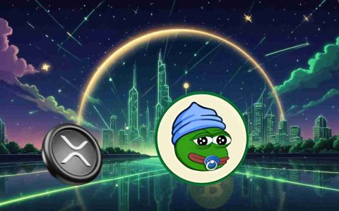 加密项目对峙：小佩佩的模因魔术与XRP ETF的机构吸引力