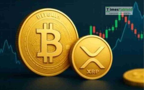 XRP：最终产品？比特币的beta测试和加密演化