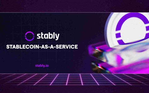 Stablecoin咨询服务：机构潜入金融的未来