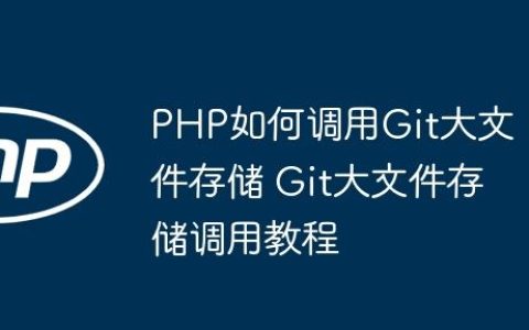 PHP如何调用Git大文件存储 Git大文件存储调用教程