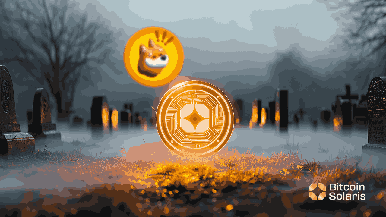 从模因梦到财富流:Bonk Coin,Bitcoin Solaris以及财富创造的未来