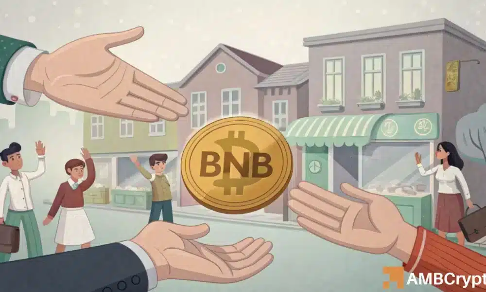 BNB的价格下跌和日常活动:有什么交易?
