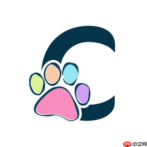 c++中如何使用raii管理资源_资源获取即初始化