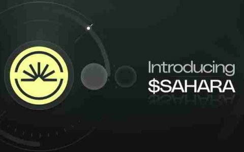 什么是Sahara AI代币(SAHARA)？SAHARA代币分配及解锁时间表介绍