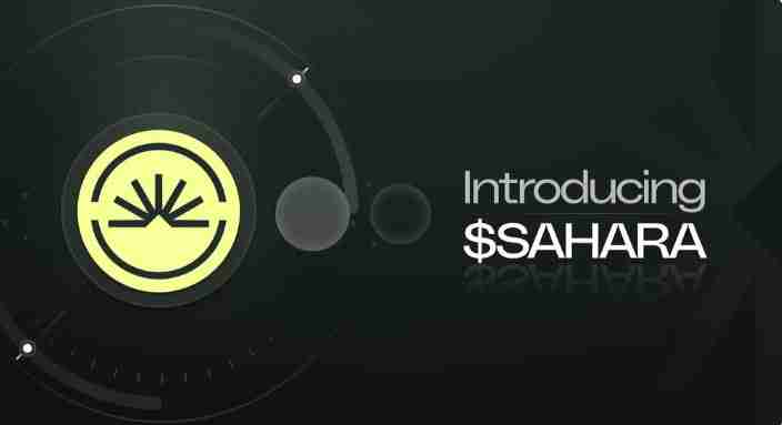 什么是Sahara AI代币(SAHARA)?SAHARA代币分配及解锁时间表介绍