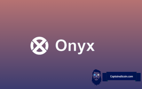 Onyxcoin（XCN）价格飙升：这里的加密货币是否会留下来？
