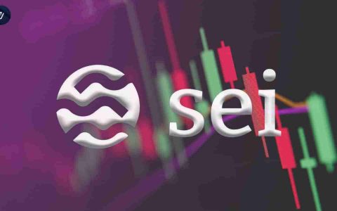 SEI巩固：分析师目标键突破级别的集会在地平线上