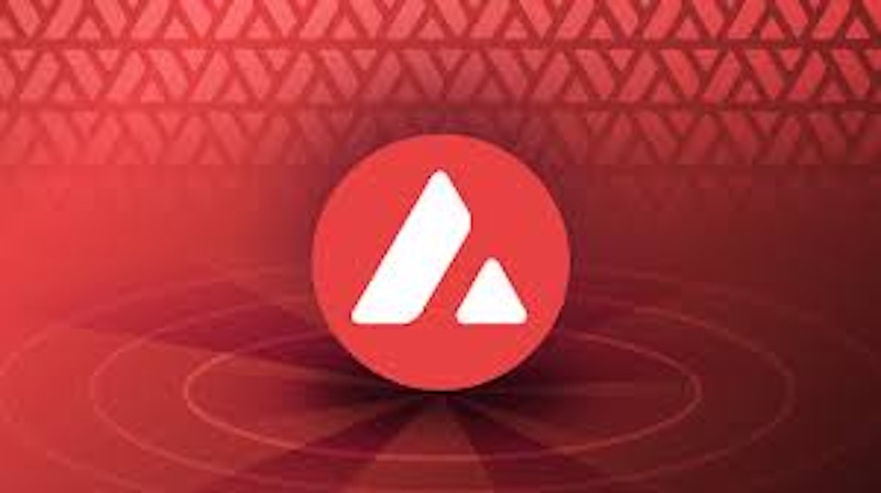 Avalanche(AVAX)暴涨原因 雪崩协议为何吸引开发者? - 创想鸟