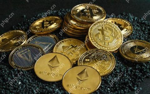 山寨币基本面分析法：如何评估项目价值？