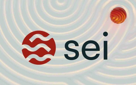 SEI预测：SEI可以收回失去的地面和集会吗？