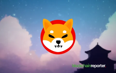 lilpepe的牛潮：下一个shiba inu？