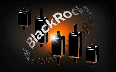 Ibit＆BlackRock：ETF优势和比特币的新常态