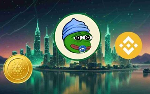 Little Pepe，Meme硬币和2层：加密货币的新时代？