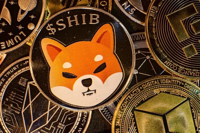 柴犬币(SHIB)社区狂热背后:是泡沫还是价值回归? - 创想鸟