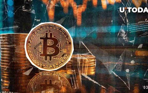 比特币的疯狂骑行：解码清算和不平衡