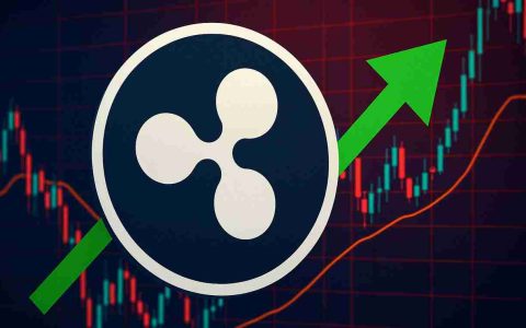 XRP，Ripple和SEC：战斗终于结束了吗？