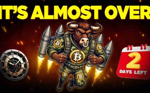 BTC Bull Doken Presale：骑比特币浪潮的最后机会？