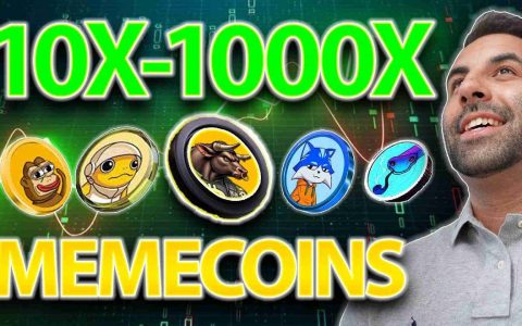 模因硬币躁狂症：这些加密货币可以在公牛奔跑中带来10x-1000x的增长吗？