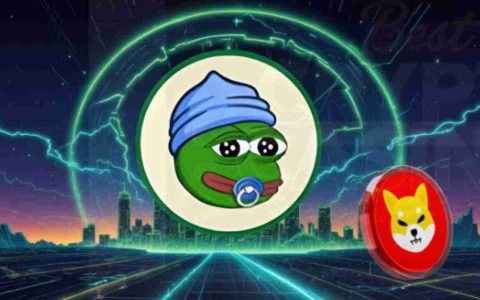 Shiba Inu的Meme Coin Legacy：它可以引发另一个价格集会吗？