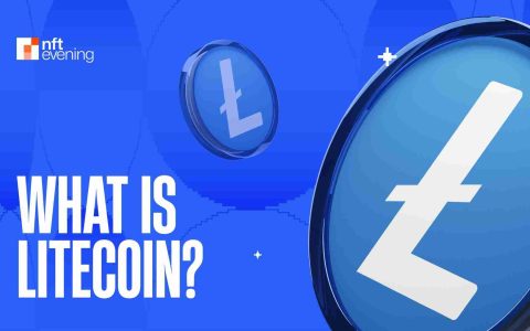 Litecoin的弹性：2025年驾驶加密货币和区块链景观