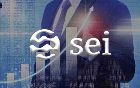 SEI Surges：它可以打破$ 0.50的障碍吗？