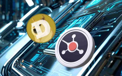 Ruvi AI，Dogecoin和ROI：解码加密透明炒作
