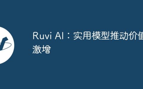 Ruvi AI：实用模型推动价值激增