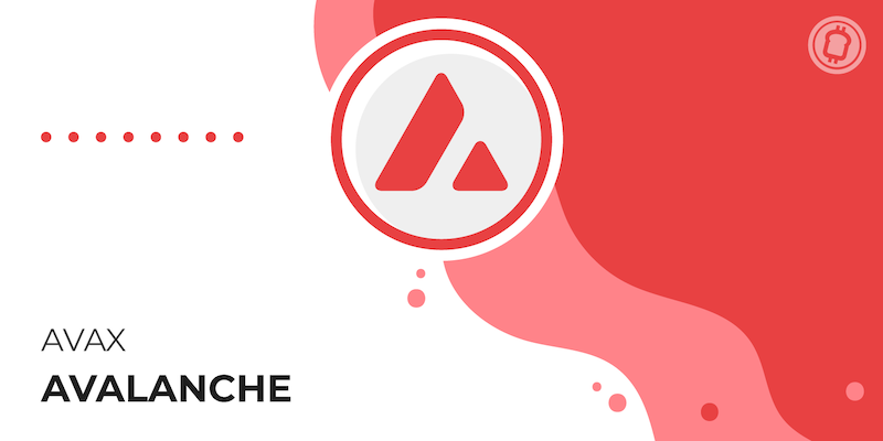 Avalanche(AVAX)子网生态爆发,哪些项目最具潜力? - 创想鸟