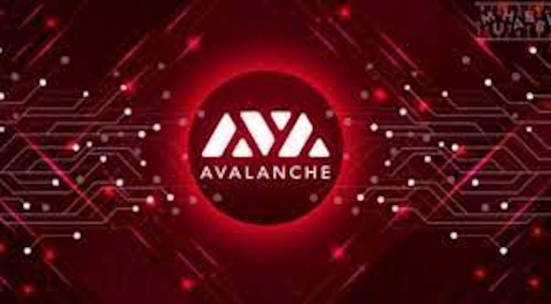 Avalanche(AVAX)子网生态爆发,哪些项目最具潜力? - 创想鸟