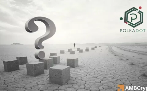 Polkadot在压力下的生态系统：分析点崩溃