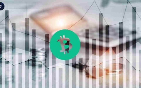 比特币现金（BCH）：爆炸性的动作还是假黎明？