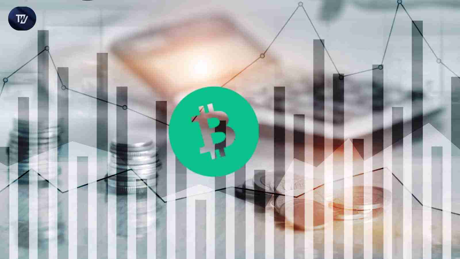 比特币现金(BCH):爆炸性的动作还是假黎明?