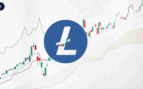 Litecoin的开放兴趣和突破手表：LTC准备弹出吗？