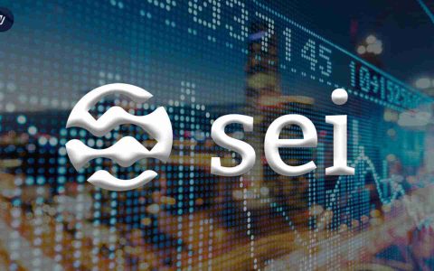 在ETF Hype和Bellish Uptrend中，Sei Price Skyrockets：下一步是什么？