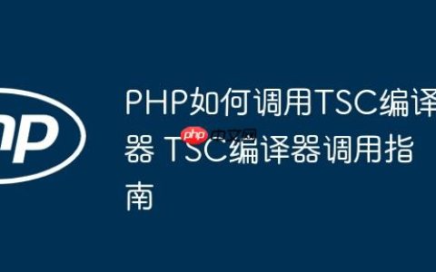 PHP如何调用TSC编译器 TSC编译器调用指南