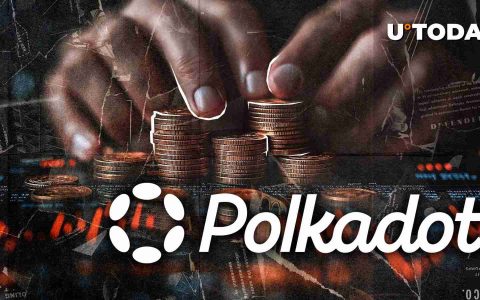 Solana和Polkadot：两个区块链的故事 - 崛起，跌倒和小模因硬币绕行