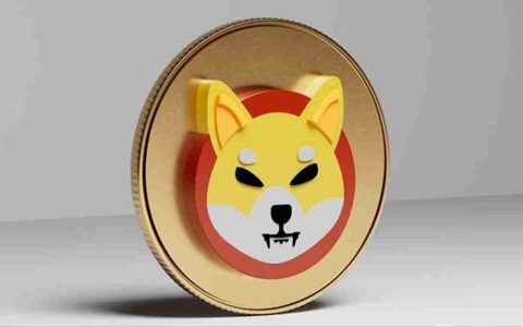 新硬币，游戏和Shiba Inu：加密货币空间中有什么热？