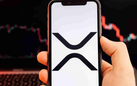 XRP＆Crypto硬币激增：解码炒作并寻找下一件大事