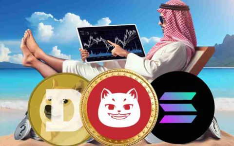 Doge，Solana和街区上的新硬币：加密货币中有什么热？