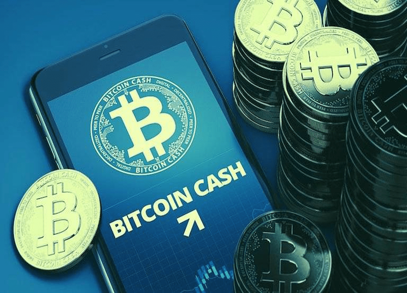 比特币(BTC)现货和合约哪个更适合新手?一篇文章说清楚 - 创想鸟