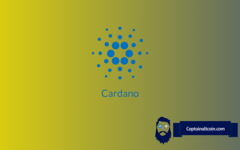 Cardano的加密货币衰落：从以太坊杀手到鬼城？