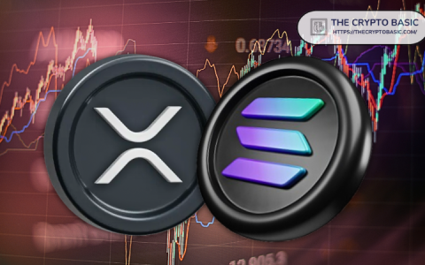 Solana，XRP和不断发展的加密技术领域：纽约市的观点