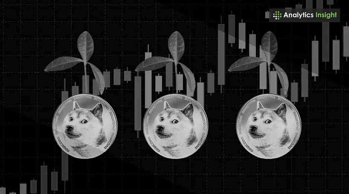Dogecoin价格分析:公牛准备跑步了吗?