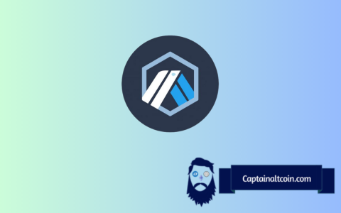 仲裁（ARB）价格泵送：Robinhood谣言和Defi Buzz燃油潮