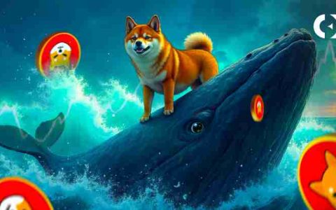鲸鱼警报：Shiba Inu为突破准备了吗？
