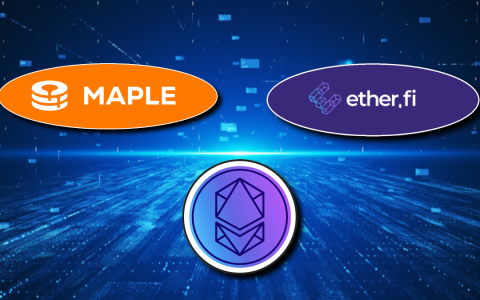 Maple Partners，Etherfi和机构贷款：Defi的新时代