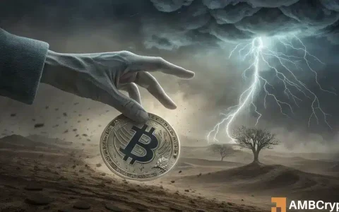 比特币和加密价格运动：在复杂市场中导航波动